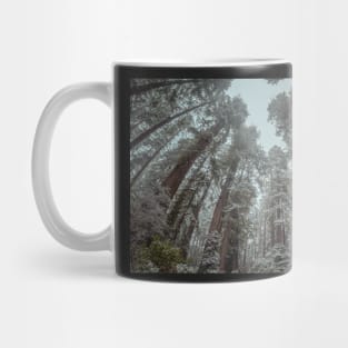 Snow in a Redwood Forest Mug